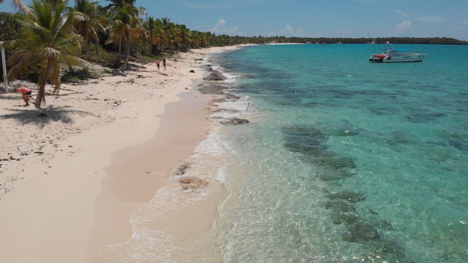 Drone footage of a pristine Caribbean beach with turquoise water and palm trees